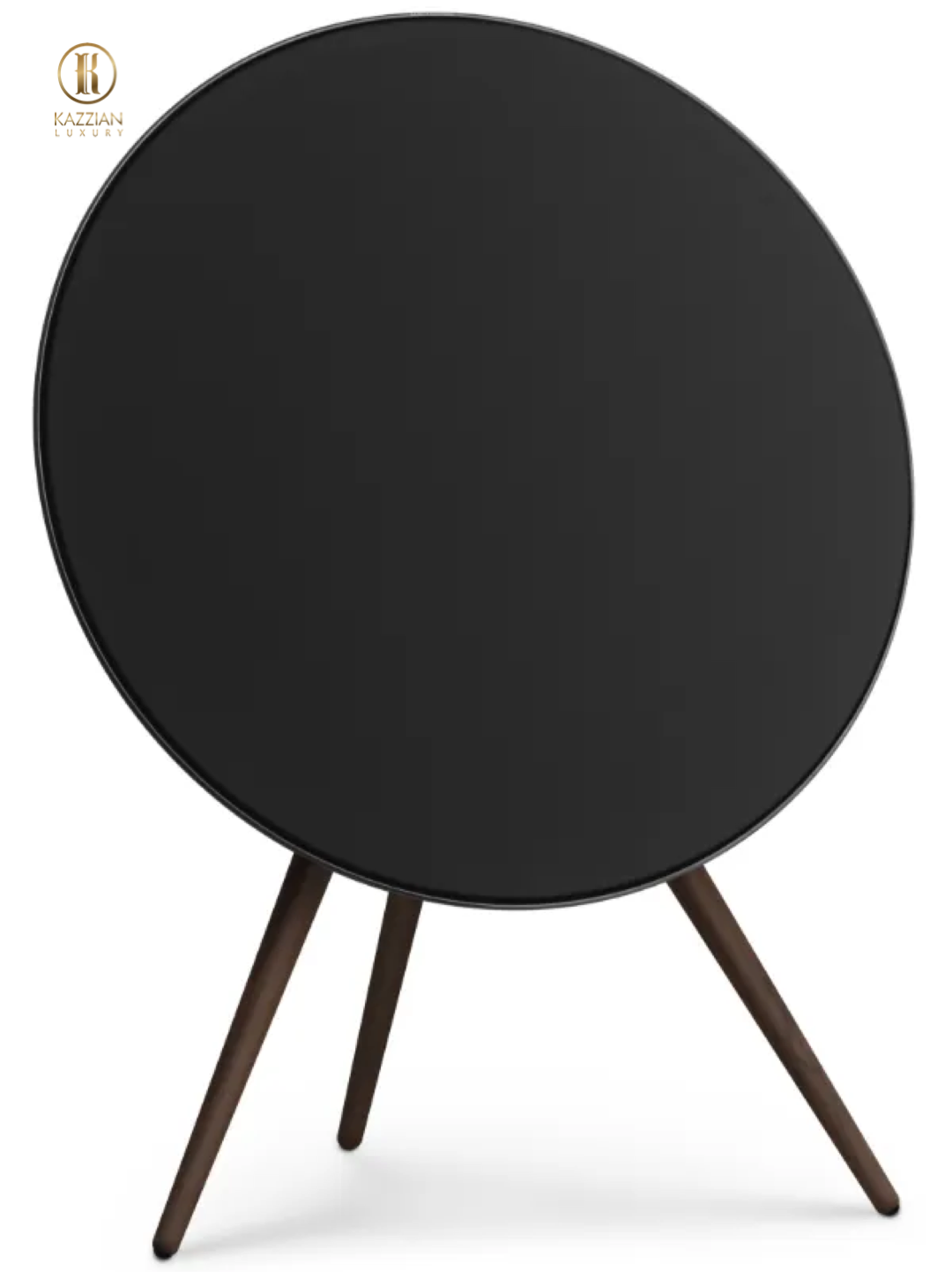 Bang & Olufsen Beosound A9 speakers