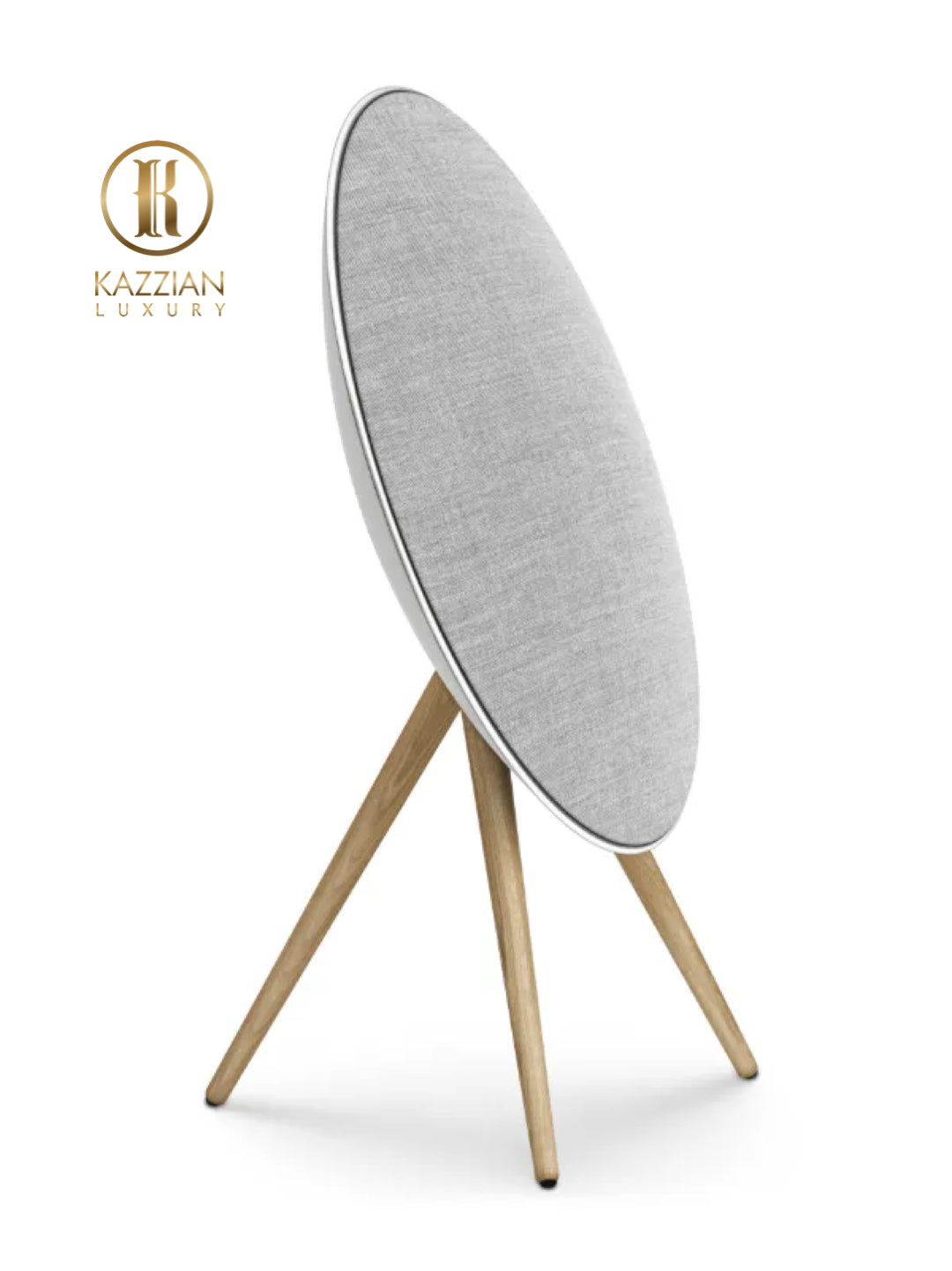 Bang & Olufsen Beosound A9 speakers