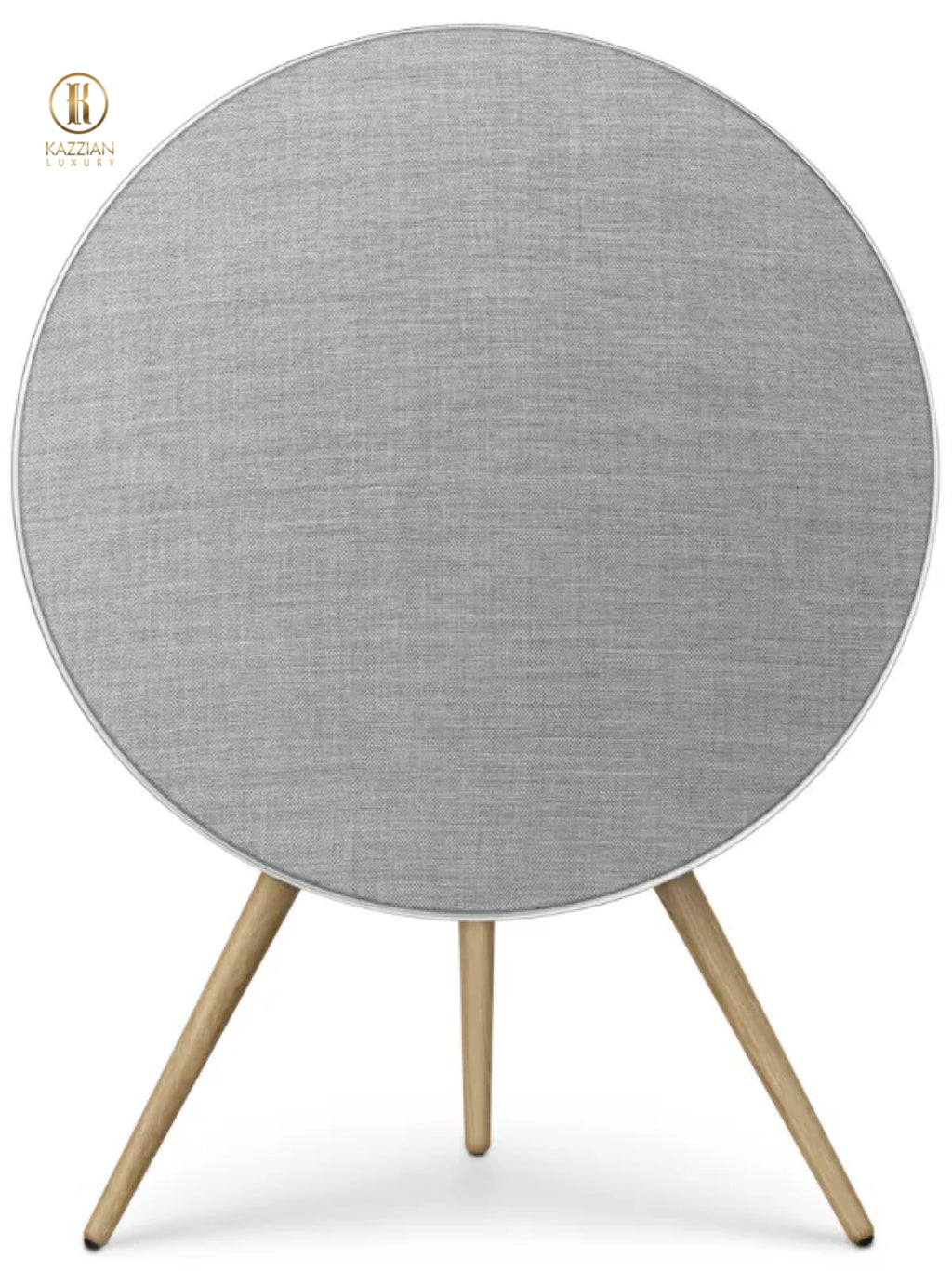 Bang & Olufsen Beosound A9 speakers